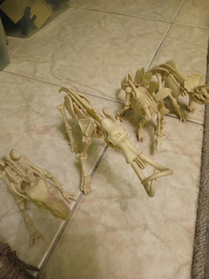 Dinosaur skeletons like new, set of 4 with Triceratops, Mammoth, Tyrannosaurus, Stegosaurus
