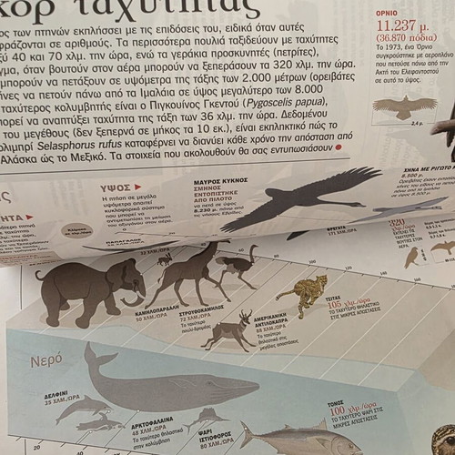 Atlas of Sciences Birds illustrated guide like new