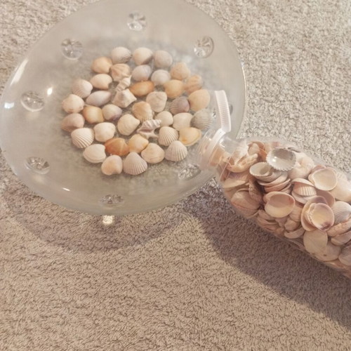 Bottle 0.5L filled with seashells for crafts