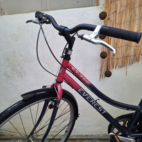 Women's City Bicycle with Gears in Good Condition Needs Repair