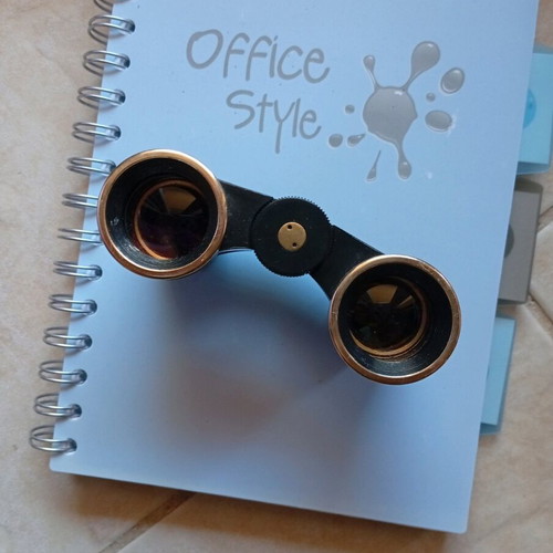 Theater Opera Binoculars like new, unique vintage