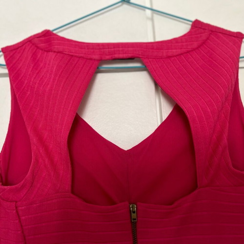 Miss Selfridge L fuchsia dress.
