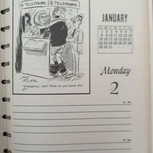 Daily-Dilly 1978 American cartoon calendar like new