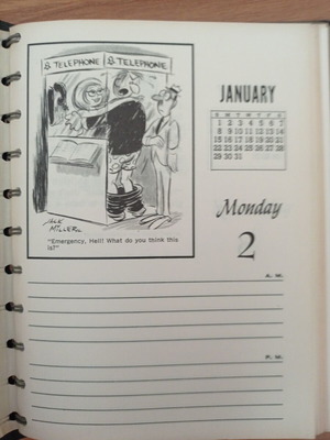 Daily-Dilly 1978 American cartoon calendar like new