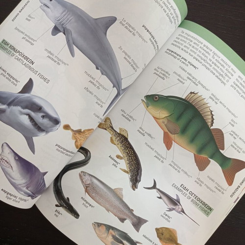 Illustrated Dictionary Issue 1 Greek-English new