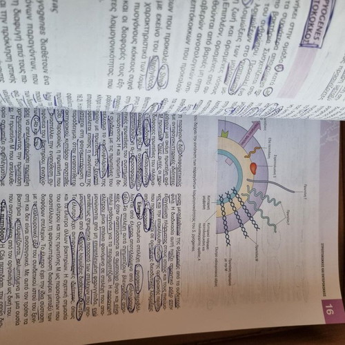 Medical Microbiology used book, 2011 edition, with highlights