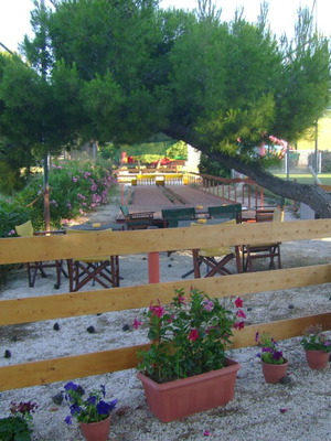 Outdoor Bowling with 2 Lanes, 8 Balls, 20 Pins, Safety Floor, and Lighting