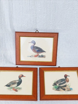 Set of 3 duck prints like new with handmade frames