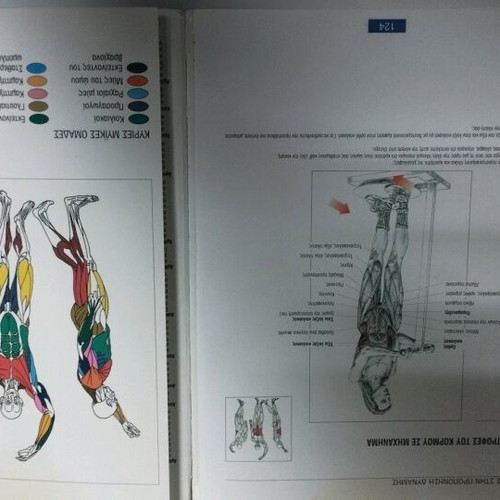 Book Training for Muscle Strength Increase like new