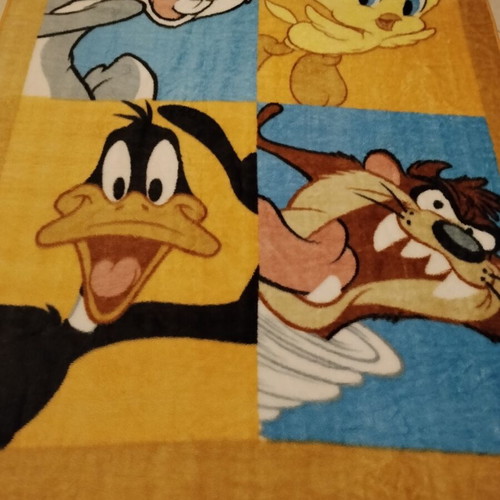 Looney Tunes Kids Blanket like new 2.30 x 1.60 m