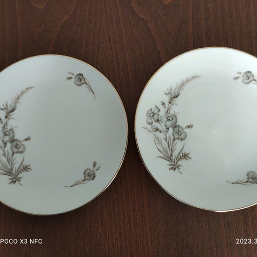 Schumaan German porcelain plates new, set of 6 pieces