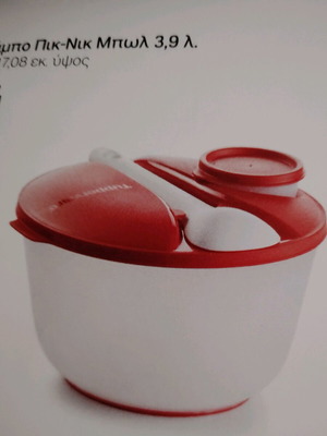 Jumbo Picnic Bowl 3.9L new with airtight lid