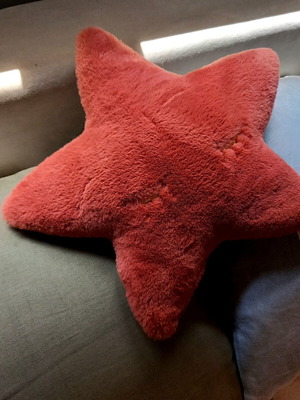 ZARA HOME λούτρινο μαξιλάρι αστέρι σαν καινούργιο
