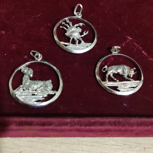 Zodia silver 925 set new