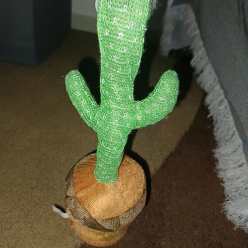 Children's cactus toy new that moves and sings