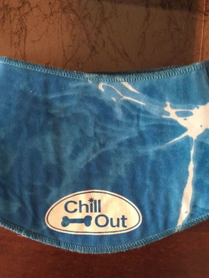 Cool Bandana for Dogs