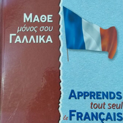 Learn French Method and Grammar like new