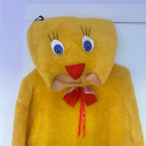 Carnival costume used, size Large