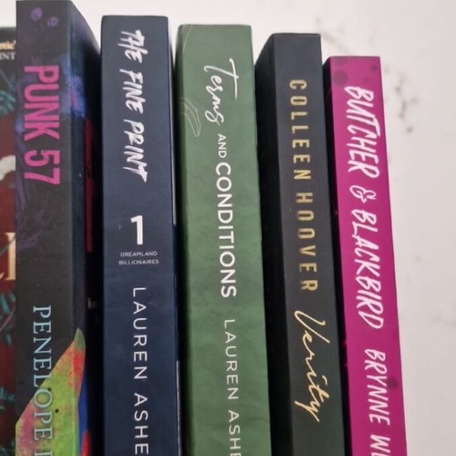 Verity, Fine Print, Terms and Conditions, Butcher and Blackbird, Punk 57 books new in English