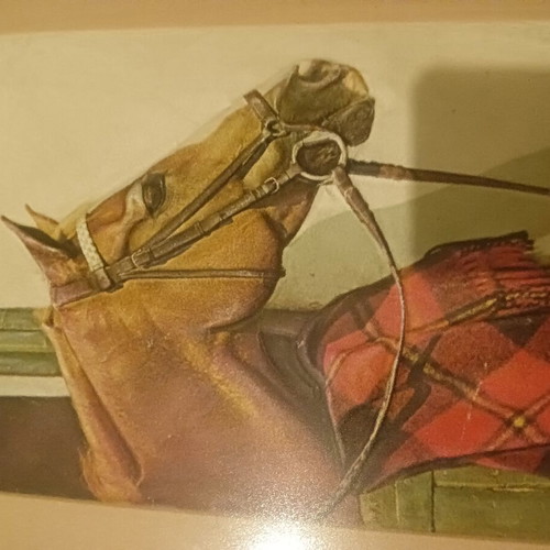3D embossed horse painting like new, made in Italy