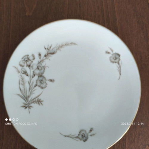 Schumaan German porcelain plates new, set of 6 pieces