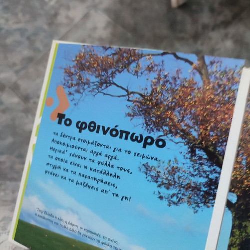Τα δέντρα του κήπου μου παιδικό βιβλίο καινούργιο