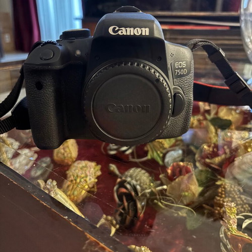 Canon 750d camera with lenses and flash