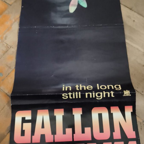 Gallon Drunk In The Long Still Night Promo Poster used