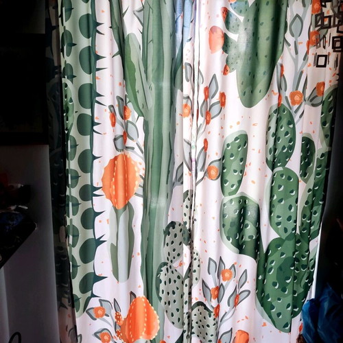 Two-Panel Curtain with Cactus Like New, Minimal Transparency