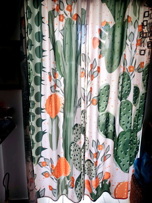 Two-Panel Curtain with Cactus Like New, Minimal Transparency