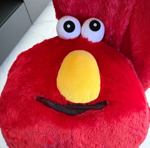 Carnaval costume from Sesam  Street + mascot