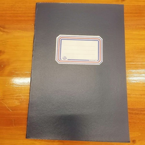 Vintage 80s Globus Grade Book Spiral & Biokart Blue Check Notebook