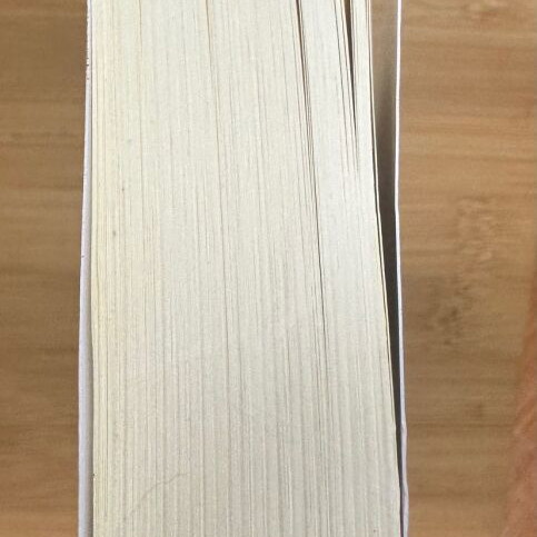 The 4-Hour Workweek book used