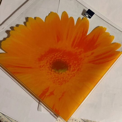 Square decorative LEONARDO crystal plate with gerbera design like new