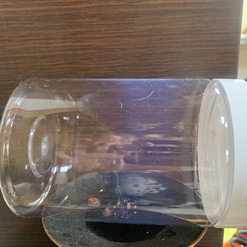 Transparent plastic storage jars PET 700 ml food safe