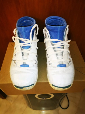 jordan 17 low unc