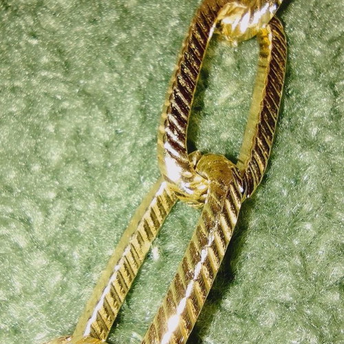 Ozze stainless steel necklace new gold tone adjustable length