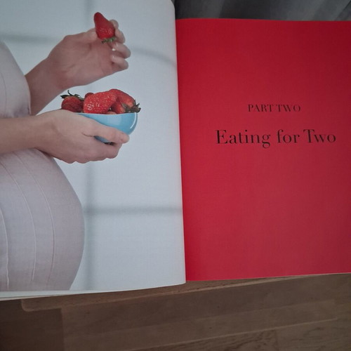 The Perfect Pregnancy Cookbook like new, English