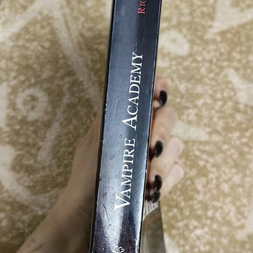 Vampire Academy Book 1 used