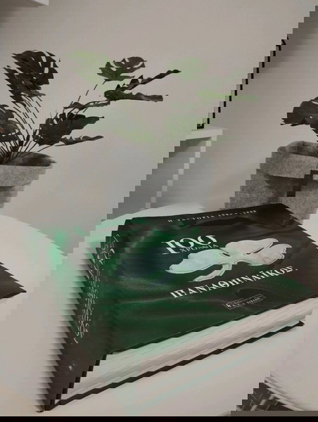100 ΧΡΟΝΙΑ ΠΑΝΑΘΗΝΑΙΚΟΣ