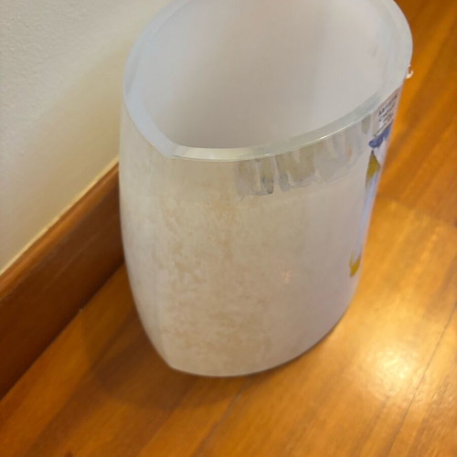 Costa Boda vase new