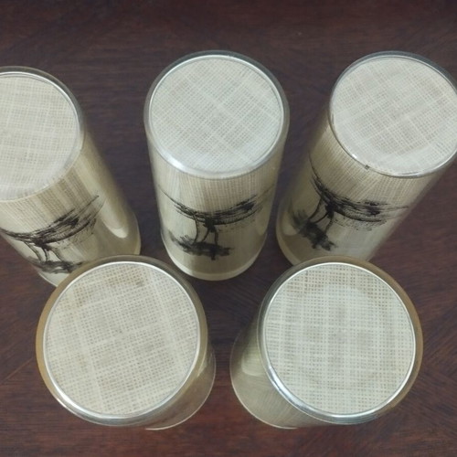 Thermo-Serv Vintage Insulated Tumblers Set of 5 Tahitian Holiday