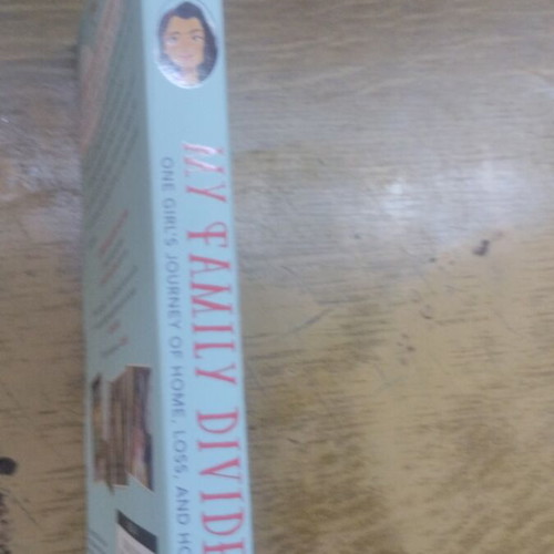 My Family Divided book like new, English
