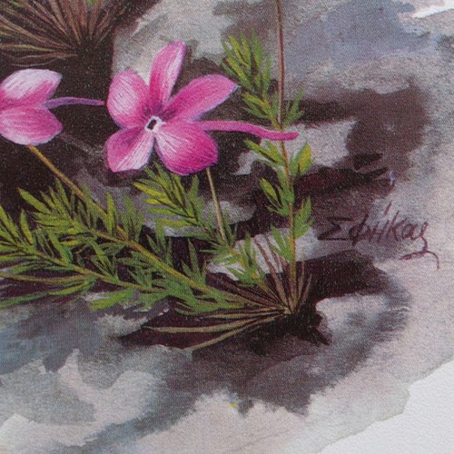 Set of 4 used watercolor reproductions with wildflowers