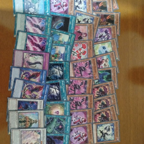 Black Rose Yu-Gi-Oh! card pack