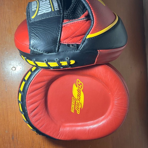 Superior Boxing boxing mitts like new