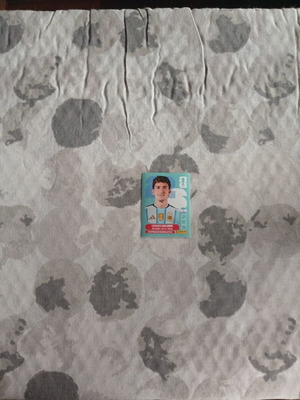 FIFA World Cup 2026 Argentina Sticker ARG 7