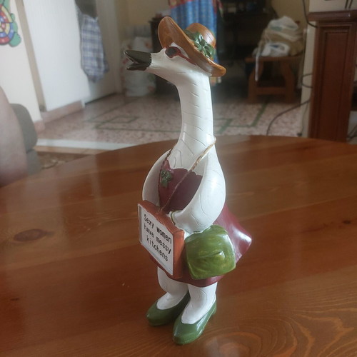 Humorous decorative duck with hat and sunglasses, like new
