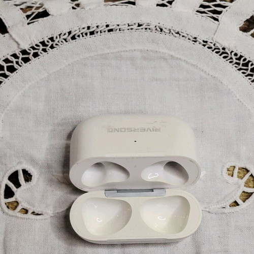 Riversong wireless earbuds case used