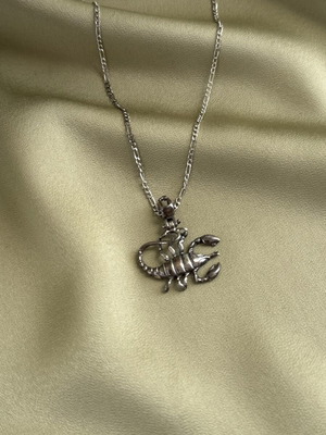 Scorpion necklace used, in good condition